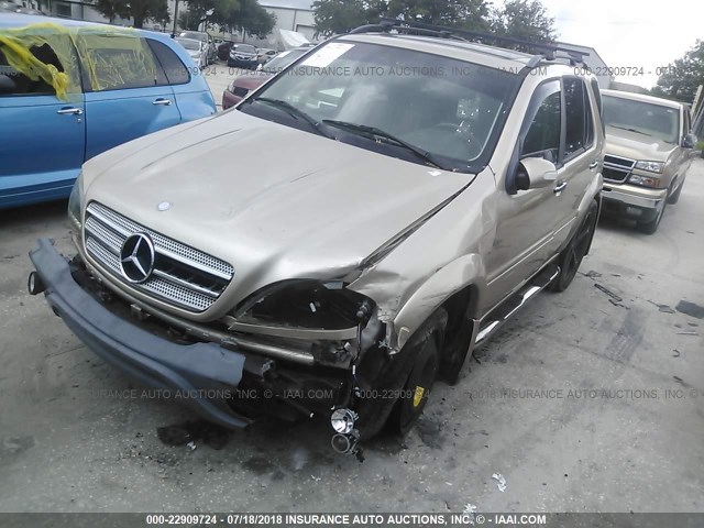 4JGAB74EX2A356767 - 2002 MERCEDES-BENZ ML 55 GOLD photo 2