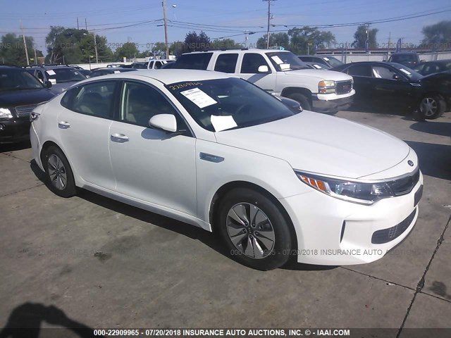 KNAGT4LE4H5009428 - 2017 KIA OPTIMA HYBRID WHITE photo 1