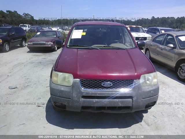 1FMYU03143KE13927 - 2003 FORD ESCAPE XLT BURGUNDY photo 6