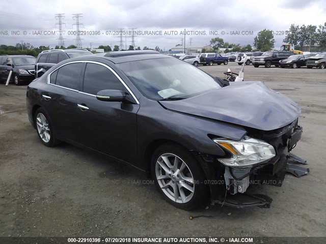 1N4AA51E49C833195 - 2009 NISSAN MAXIMA S/SV GRAY photo 1