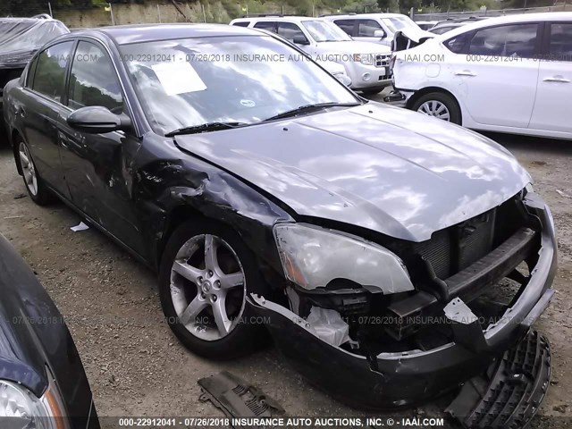 1N4BL11D25C262766 - 2005 NISSAN ALTIMA SE/SL/SE-R GRAY photo 6