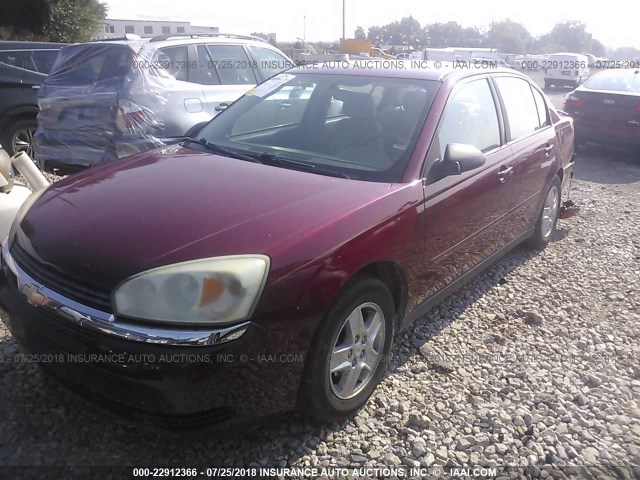 1G1ZT54835F159233 - 2005 CHEVROLET MALIBU LS Tünd qırmızı foto 2