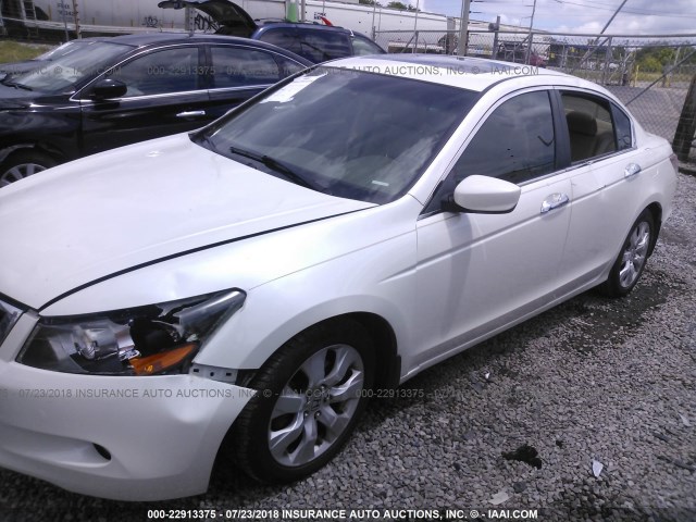 1HGCP3F87AA031685 - 2010 HONDA ACCORD EXL WHITE photo 6