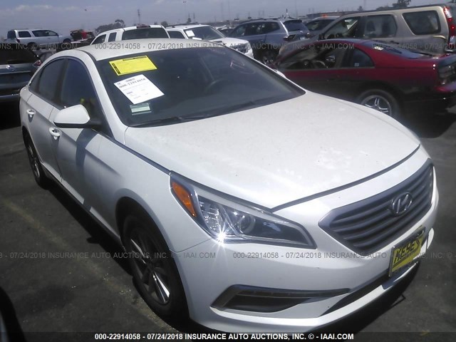 5NPE24AF8FH253590 - 2015 HYUNDAI SONATA SE WHITE photo 1