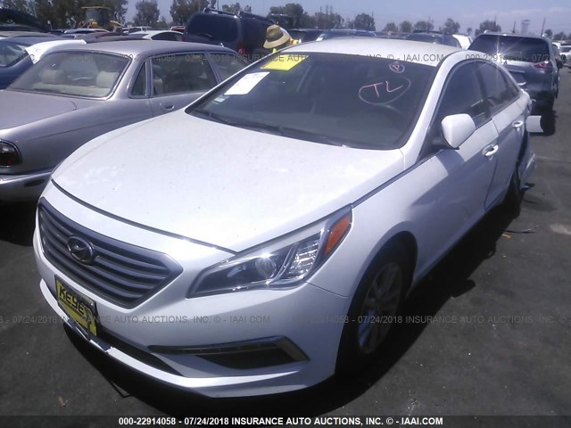 5NPE24AF8FH253590 - 2015 HYUNDAI SONATA SE WHITE photo 2