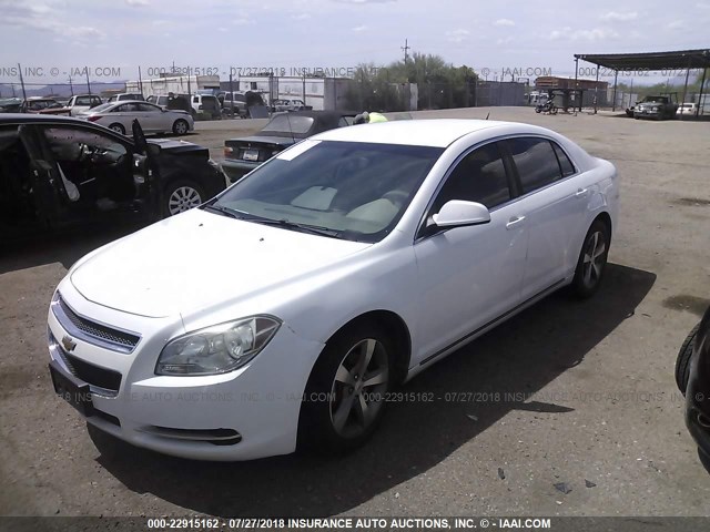 1G1ZC5E18BF378329 - 2011 CHEVROLET MALIBU 1LT WHITE photo 2