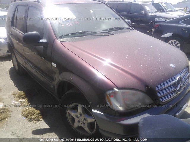 4JGAB54E2XA074215 - 1999 MERCEDES-BENZ ML 320 BURGUNDY photo 1