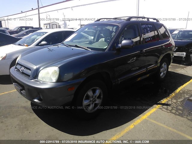 KM8SC73E25U898967 - 2005 HYUNDAI SANTA FE GLS/LX GRAY photo 2