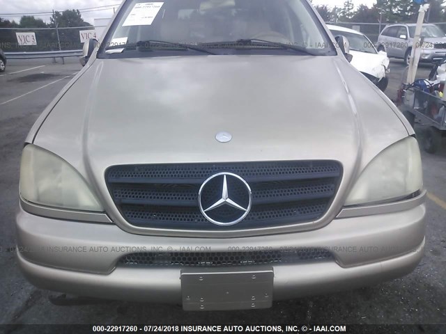 4JGAB54E91A227034 - 2001 MERCEDES-BENZ ML 320 GOLD photo 6