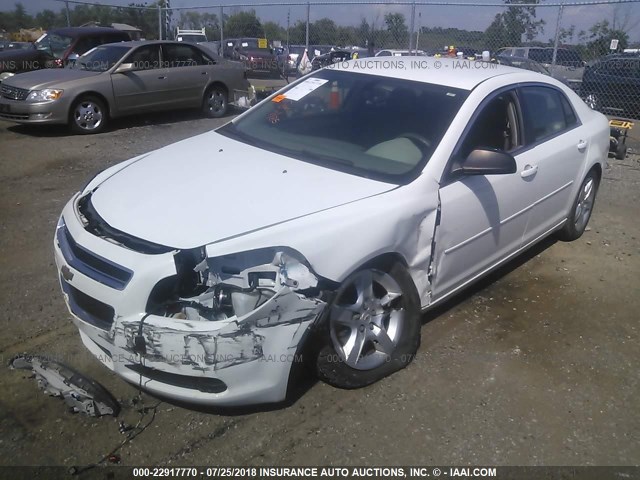 1G1ZB5E08CF281966 - 2012 CHEVROLET MALIBU LS თეთრი ფოტო 2