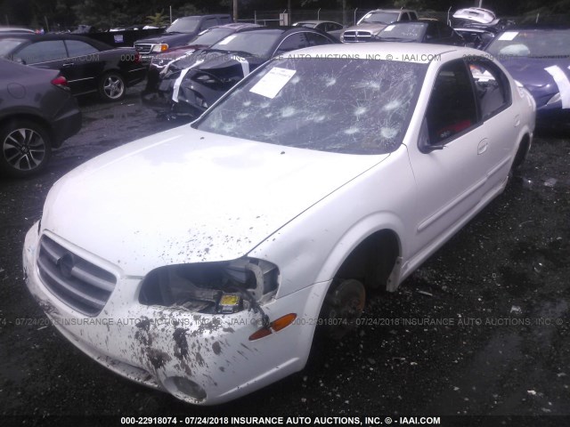 JN1DA31D52T412145 - 2002 NISSAN MAXIMA GLE/GXE/SE WHITE photo 6