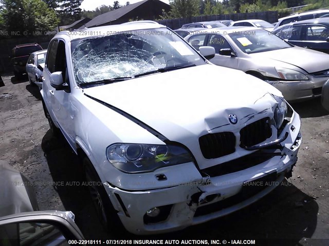 5UXZV8C52D0C15580 - 2013 BMW X5 XDRIVE50I WHITE photo 1