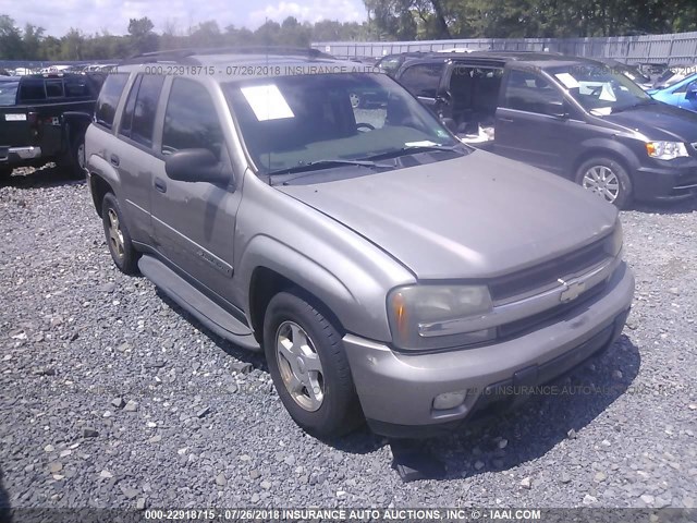 1GNDT13S532263757 - 2003 CHEVROLET TRAILBLAZER  TAN photo 1