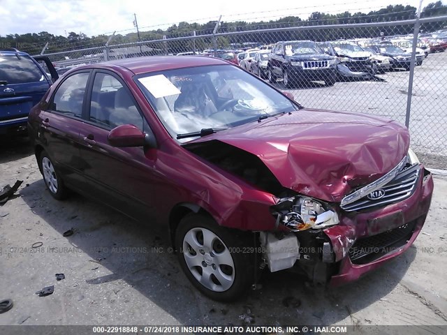 KNAFE121885559346 - 2008 KIA SPECTRA EX/LX/SX BURGUNDY photo 1