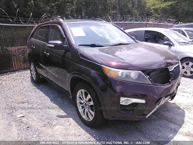 5XYKW4A2XBG129875 - 2011 KIA SORENTO SX PURPLE photo 1