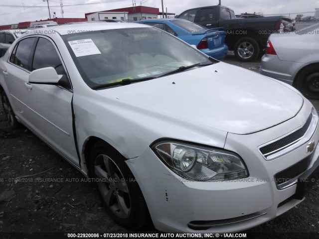 1G1ZC5EU7BF111077 - 2011 CHEVROLET MALIBU 1LT WHITE photo 1