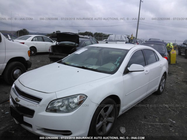 1G1ZC5EU7BF111077 - 2011 CHEVROLET MALIBU 1LT WHITE photo 2