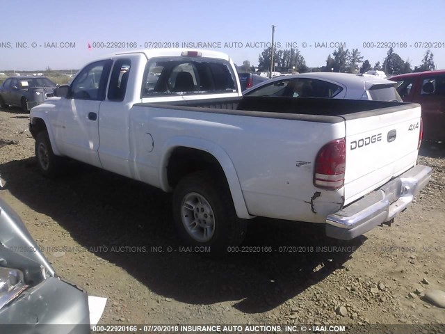 1B7GG22N6YS504485 - 2000 DODGE DAKOTA WHITE photo 3