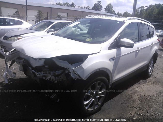 1FMCU9J97GUC48960 - 2016 FORD ESCAPE TITANIUM WHITE photo 2