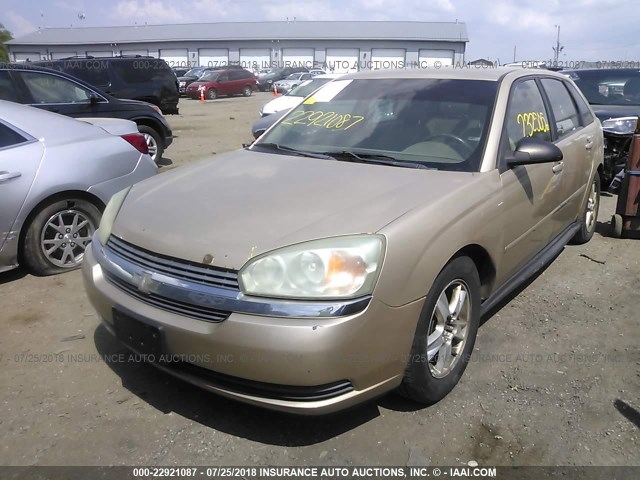 1G1ZT64864F179626 - 2004 CHEVROLET MALIBU MAXX LS 金色 照片 2