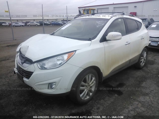 KM8JUCAC6DU621482 - 2013 HYUNDAI TUCSON GLS/LIMITED WHITE photo 2