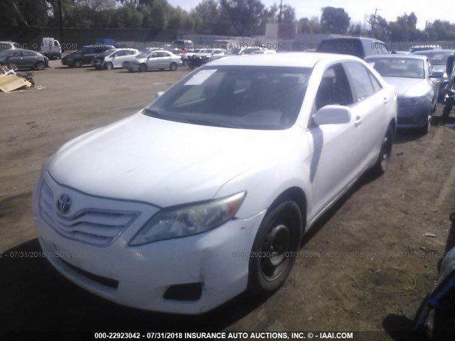 4T1BF3EKXAU556633 - 2010 TOYOTA CAMRY SE/LE/XLE თეთრი ფოტო 2