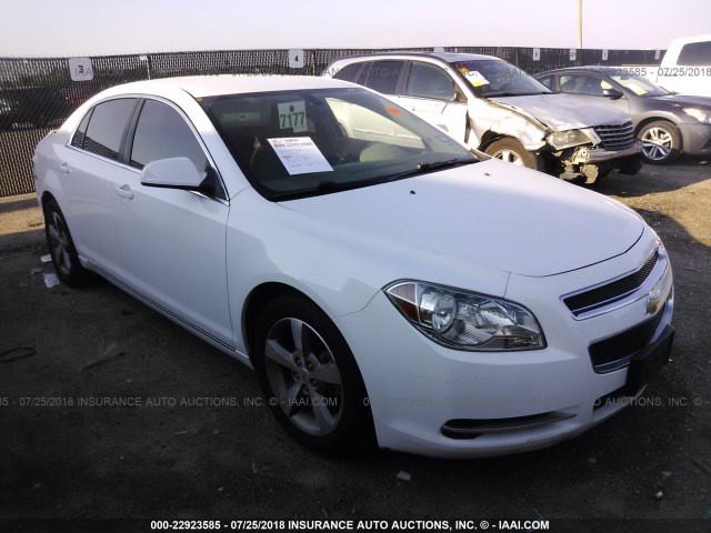 1G1ZC5EU4BF182110 - 2011 CHEVROLET MALIBU 1LT 白色 照片 1