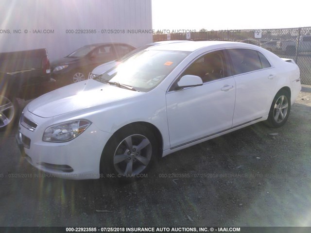 1G1ZC5EU4BF182110 - 2011 CHEVROLET MALIBU 1LT 白色 照片 2