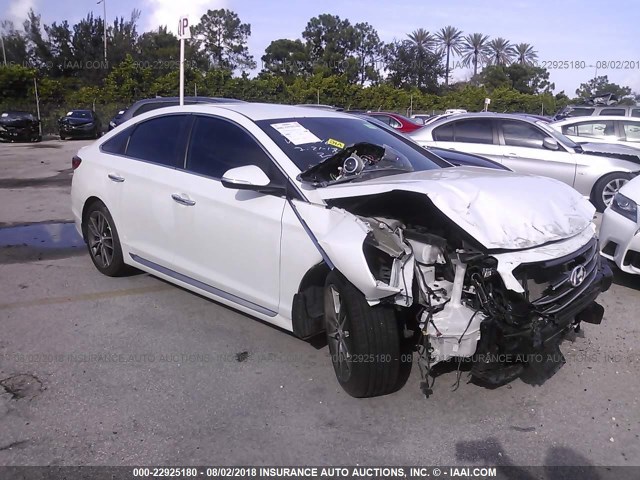 5NPE34AB6FH091646 - 2015 HYUNDAI SONATA SPORT/LIMITED WHITE photo 1