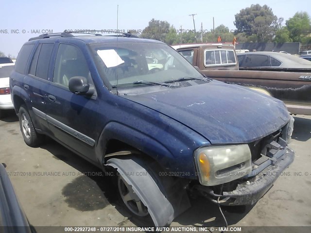 1GNDS13S022454942 - 2002 CHEVROLET TRAILBLAZER  BLUE photo 1