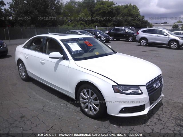 WAUEFAFL8BN002013 - 2011 AUDI A4 PREMIUM PLUS WHITE photo 1