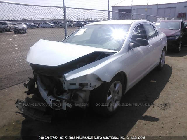 1G1ZA5EU3CF147968 - 2012 CHEVROLET MALIBU LS WHITE photo 2