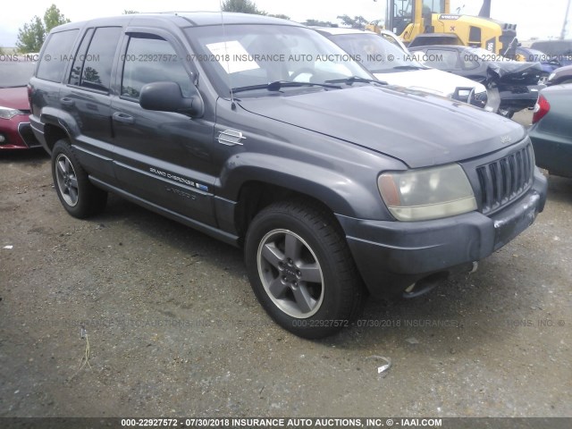 1J4GW48J04C195811 - 2004 JEEP GRAND CHEROKEE LAREDO/COLUMBIA/FREEDOM 灰色 照片 1