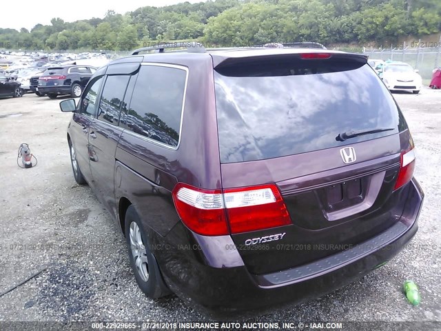 5FNRL38777B436146 - 2007 HONDA ODYSSEY EXL PURPLE photo 3