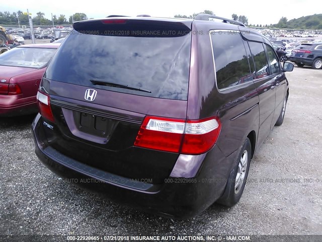 5FNRL38777B436146 - 2007 HONDA ODYSSEY EXL PURPLE photo 4