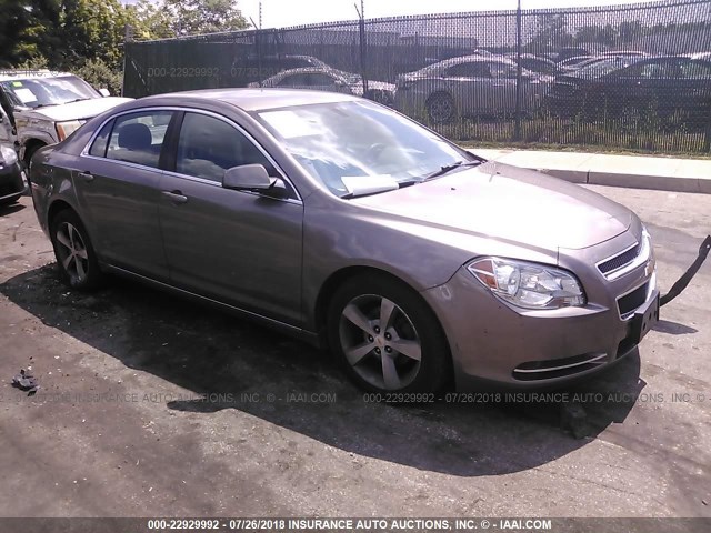 1G1ZC5E1XBF373682 - 2011 CHEVROLET MALIBU 1LT 棕色 照片 1