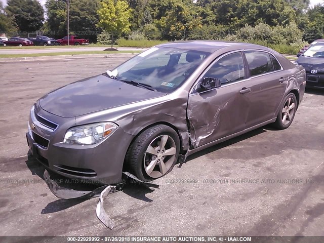 1G1ZC5E1XBF373682 - 2011 CHEVROLET MALIBU 1LT 棕色 照片 2