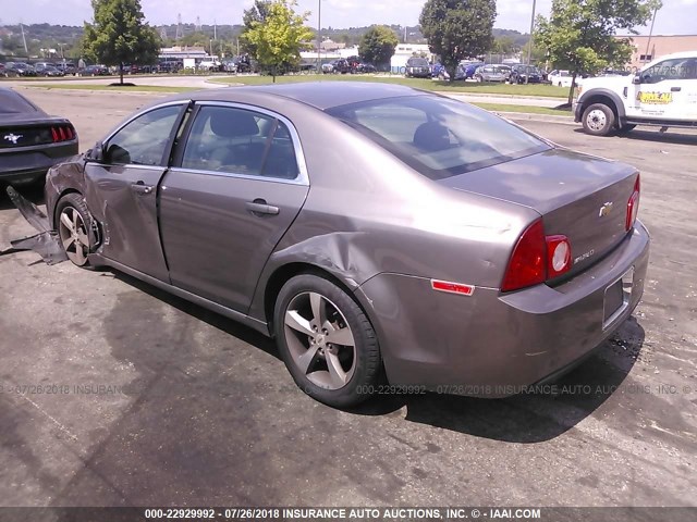 1G1ZC5E1XBF373682 - 2011 CHEVROLET MALIBU 1LT 棕色 照片 3