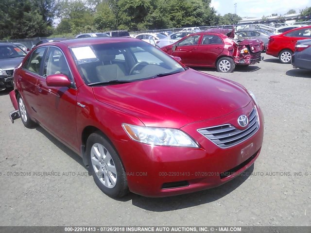 4T1BB46K38U050815 - 2008 TOYOTA CAMRY HYBRID RED photo 1