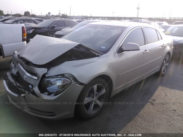 1G1ZC5E1XBF303924 - 2011 CHEVROLET MALIBU 1LT თაფლისფერი ფოტო 2