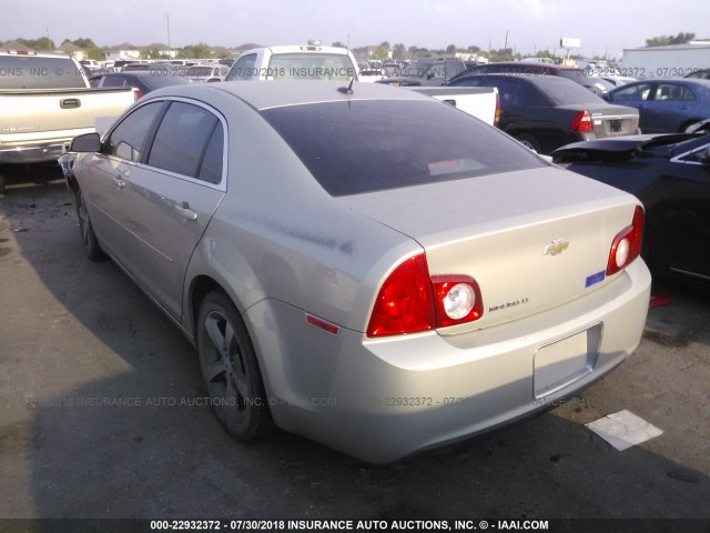 1G1ZC5E1XBF303924 - 2011 CHEVROLET MALIBU 1LT თაფლისფერი ფოტო 3