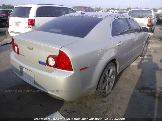 1G1ZC5E1XBF303924 - 2011 CHEVROLET MALIBU 1LT თაფლისფერი ფოტო 4