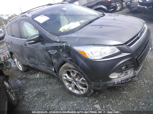 1FMCU9J98EUA65905 - 2014 FORD ESCAPE TITANIUM GRAY photo 1