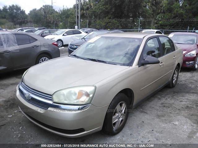 1G1ZT54885F174486 - 2005 CHEVROLET MALIBU LS TAN photo 2