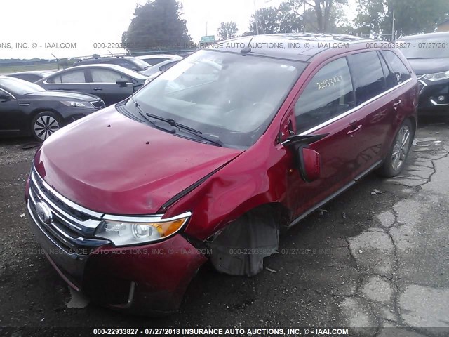 2FMDK4KC8CBA80043 - 2012 FORD EDGE LIMITED RED photo 2