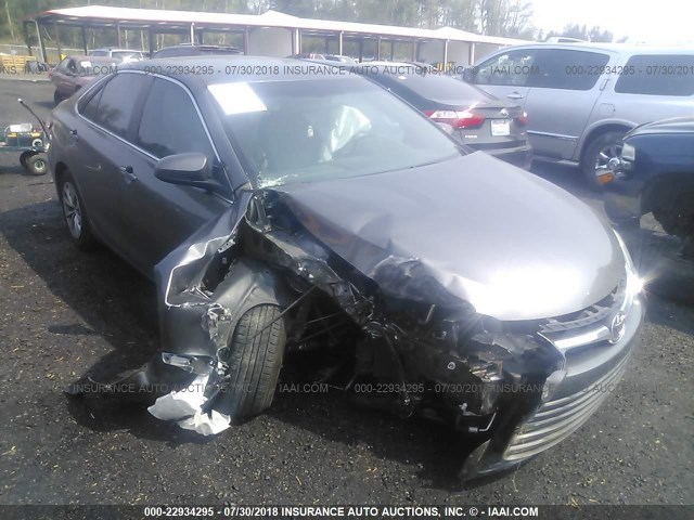 4T1BF1FKXFU486254 - 2015 TOYOTA CAMRY LE/XLE/SE/XSE 灰色 照片 1