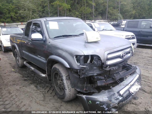5TBRT34195S463111 - 2005 TOYOTA TUNDRA ACCESS CAB SR5 GRAY photo 1