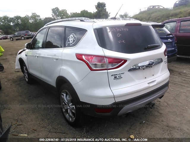 1FMCU9J99GUA67424 - 2016 FORD ESCAPE TITANIUM WHITE photo 3