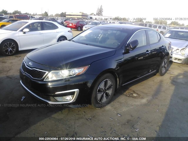 KNAGM4AD4D5054290 - 2013 KIA OPTIMA HYBRID BLACK photo 2