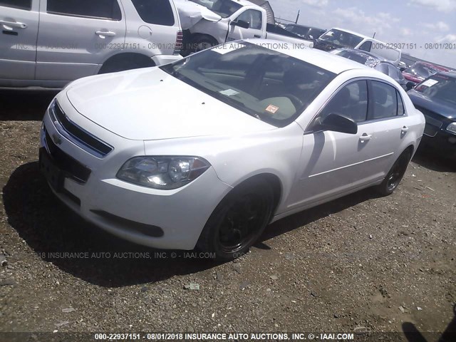 1G1ZA5EUXCF389477 - 2012 CHEVROLET MALIBU LS თეთრი ფოტო 2